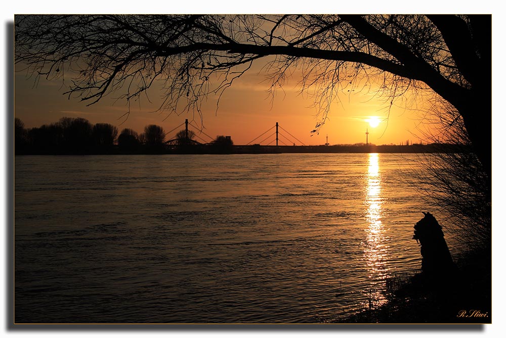 Der Rhein am Abend