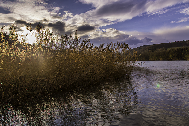 Der Rhein bei Abendstimmung (Schweiz)