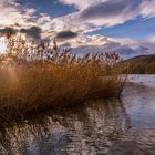 Der Rhein bei Abendstimmung (Schweiz)