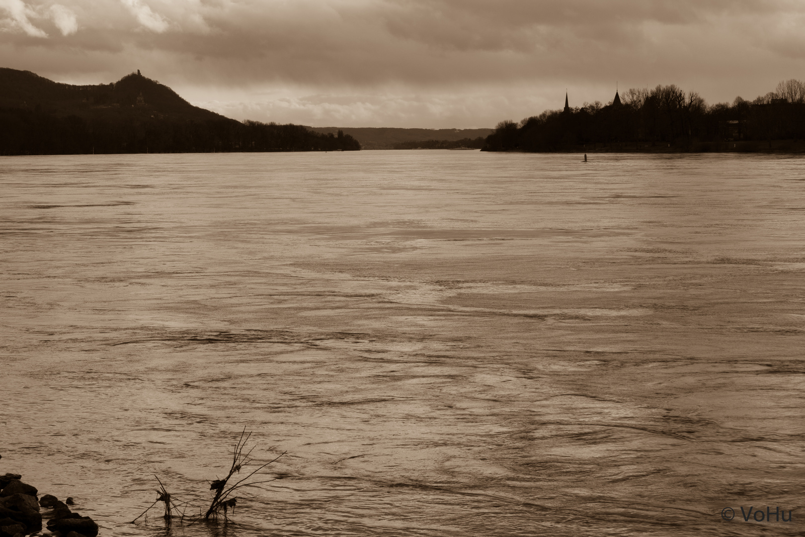 Der Rhein bei Bonn