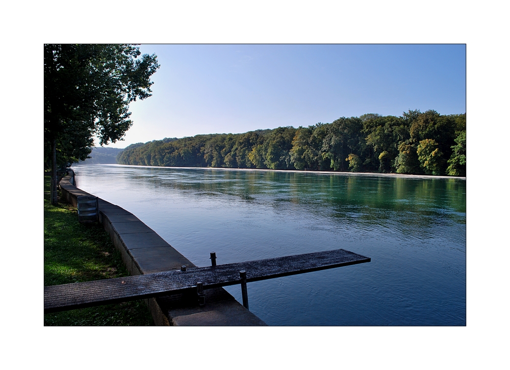 Der Rhein bei Dachsen