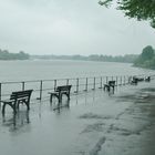 Der Rhein bei Düsseldorf - Kaiserswerth, Rhine near Düsseldorf - Kaiserswerth