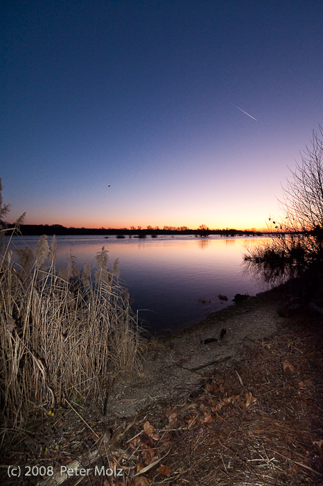 Der Rhein bei Eltville im Winter / Eltville 2008