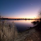 Der Rhein bei Eltville im Winter / Eltville 2008