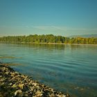 Der Rhein bei Heidenfahrt - Oktober 2018