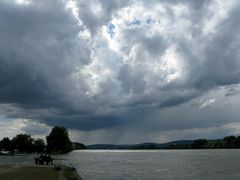 der Rhein bei Ingelheim