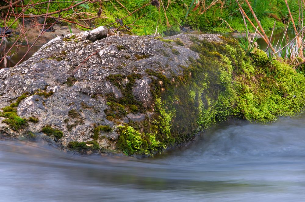 Der Rhein bei Istein