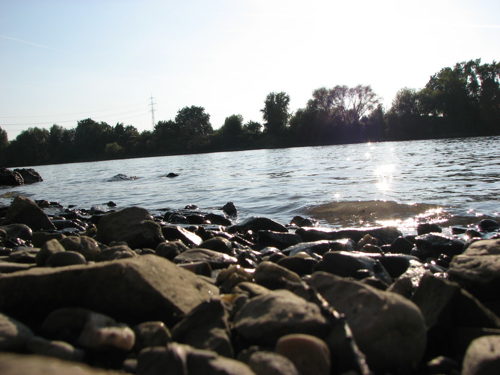 der Rhein bei Koblenz