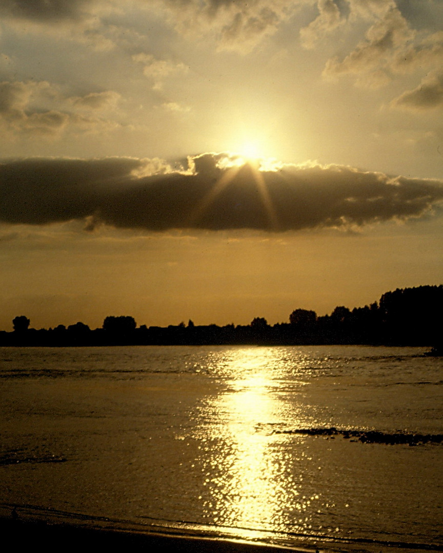 Der Rhein bei Krefeld