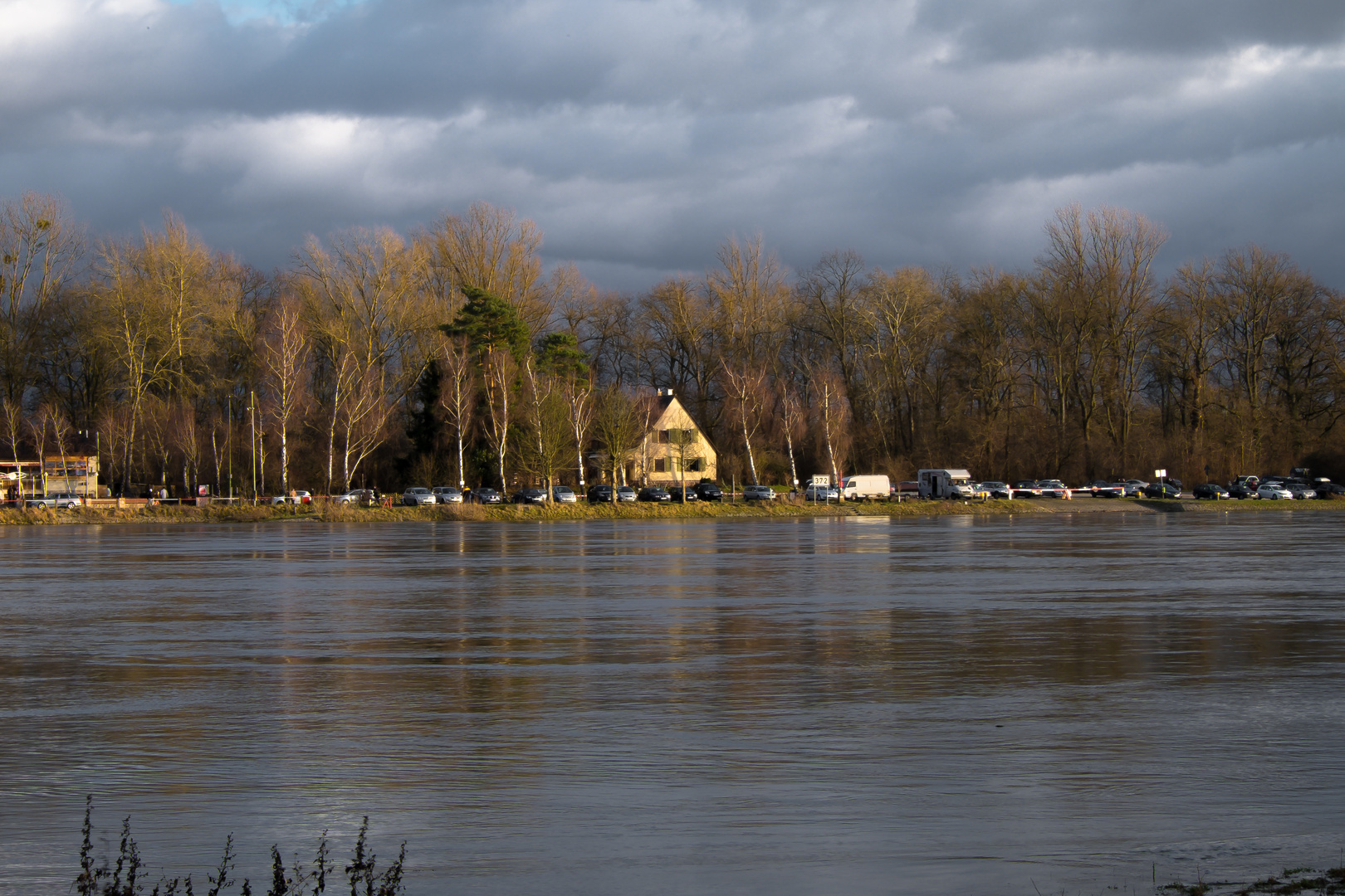 Der Rhein bei Leimersheim