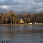 Der Rhein bei Leimersheim