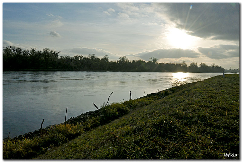 Der Rhein bei Ludwigshafen