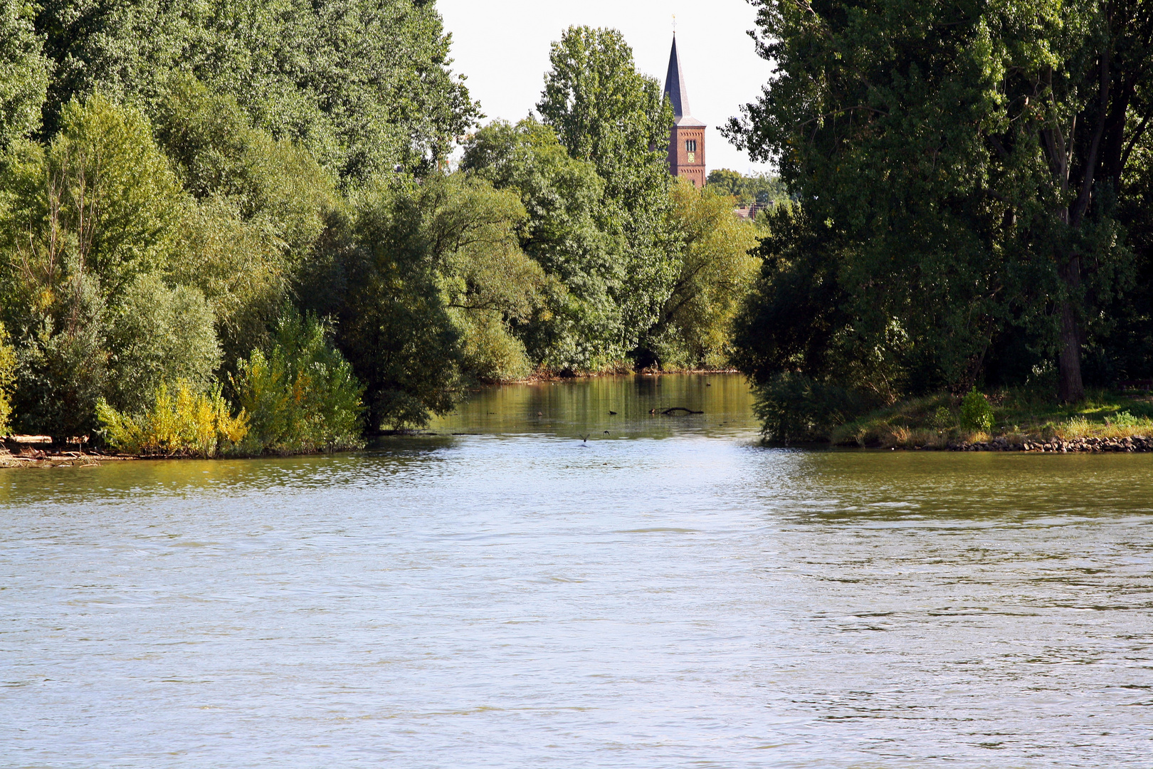 Der Rhein bei Mondorf