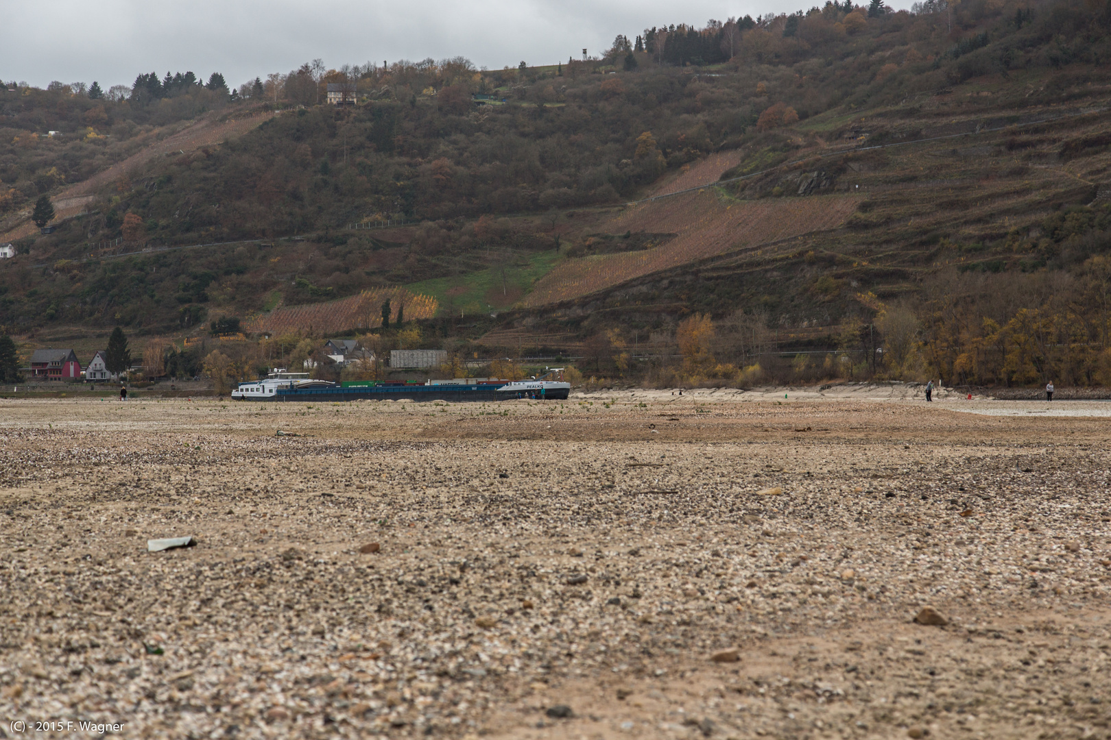 Der Rhein bei Niedrigwasser