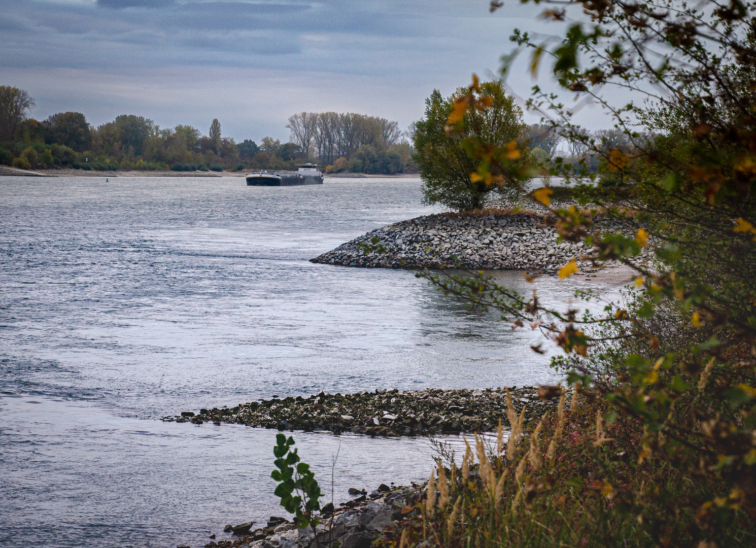 Der Rhein bei Niedrigwasser nahe Biblis