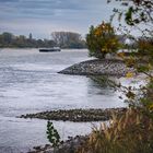 Der Rhein bei Niedrigwasser nahe Biblis