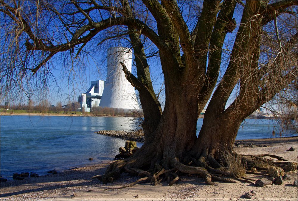 Der Rhein bei Orsoy