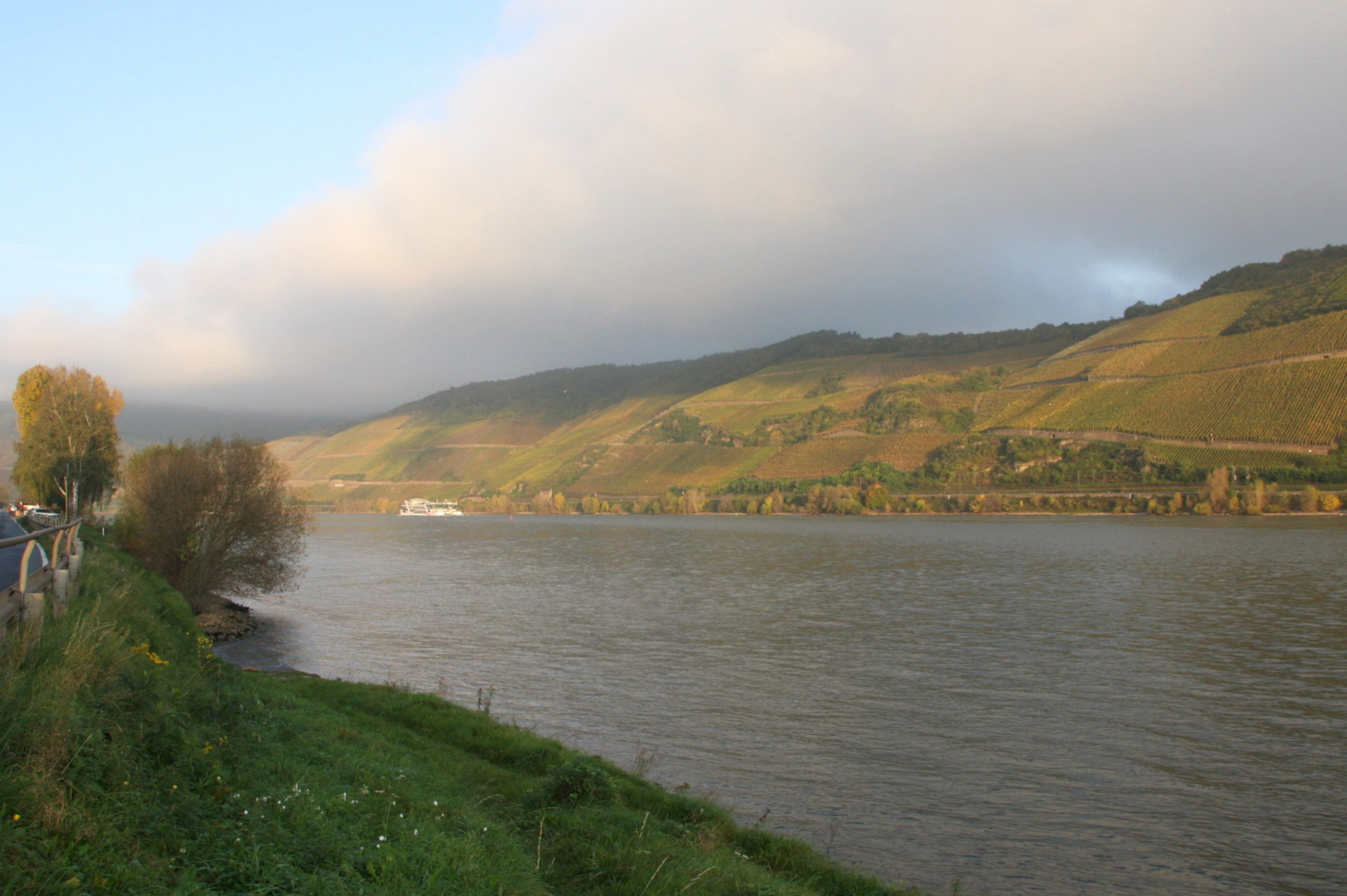 Der Rhein bei Osterspai nahe Boppard