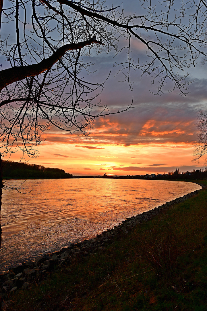 Der Rhein bei Porz