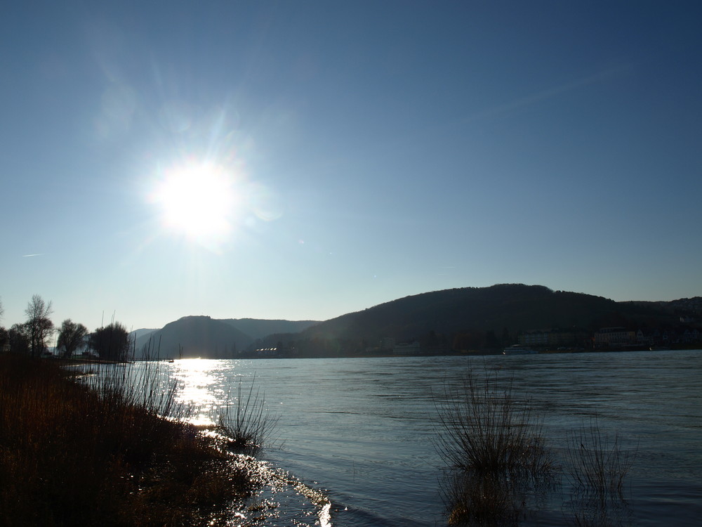 Der Rhein bei Sonne