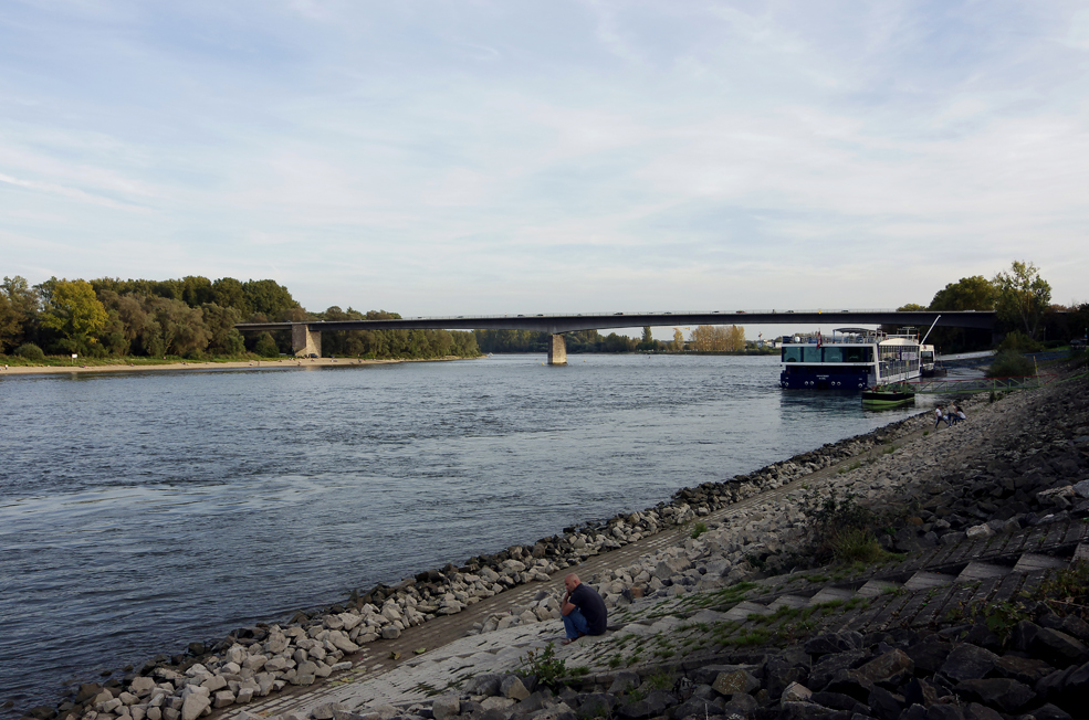 der Rhein bei Speyer 2