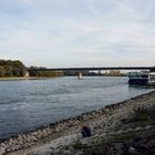 der Rhein bei Speyer 2