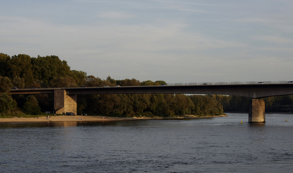 der Rhein bei Speyer 3