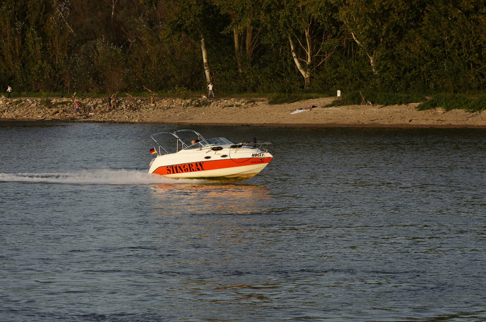 der Rhein bei Speyer 4