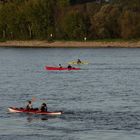 der Rhein bei Speyer 8