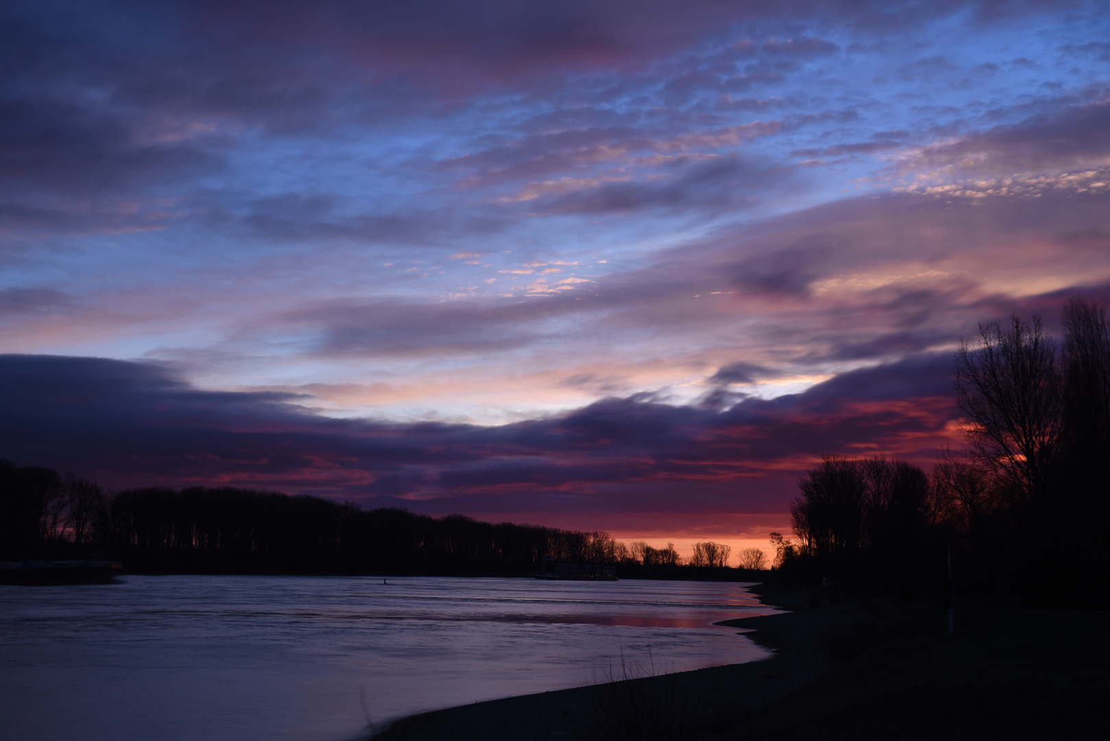 Der Rhein bei Speyer