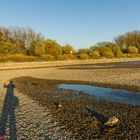 Der Rhein bei Speyer ...