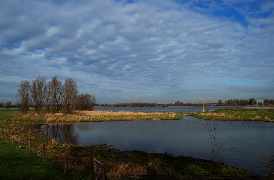 Der Rhein bei Vynen