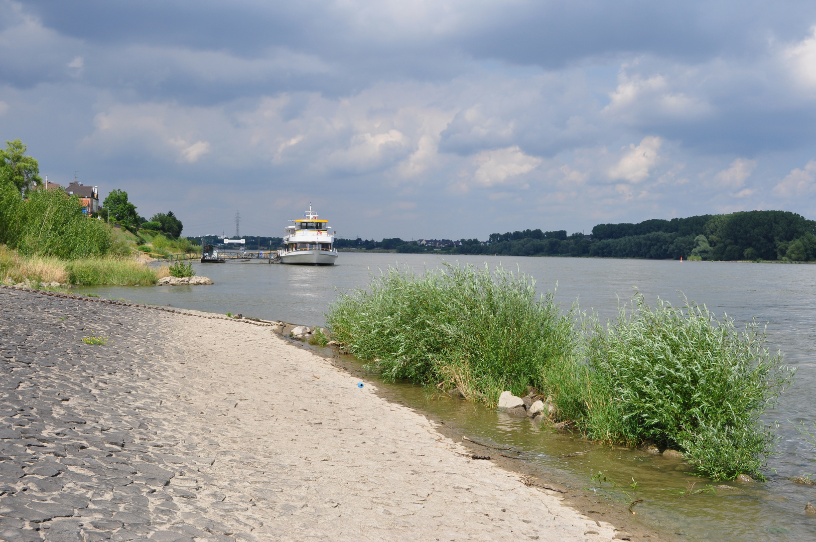 Der Rhein bei Widdig