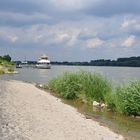 Der Rhein bei Widdig