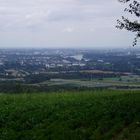 Der Rhein Bei Wiesbaden