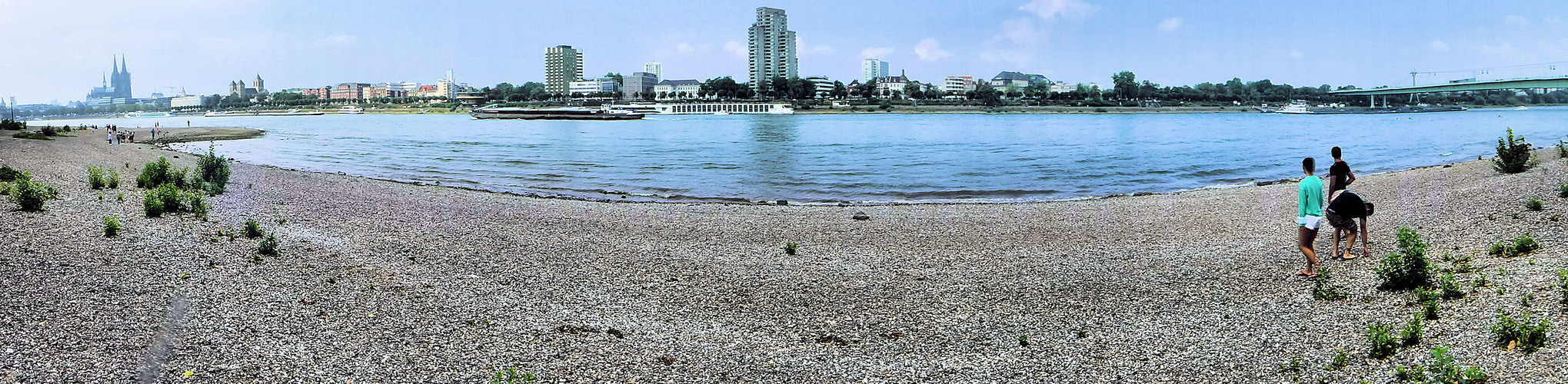 Der Rhein braucht Wasser 