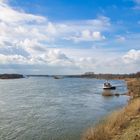 Der Rhein