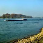 Der Rhein - Düsseldorf-Kaiserswerth