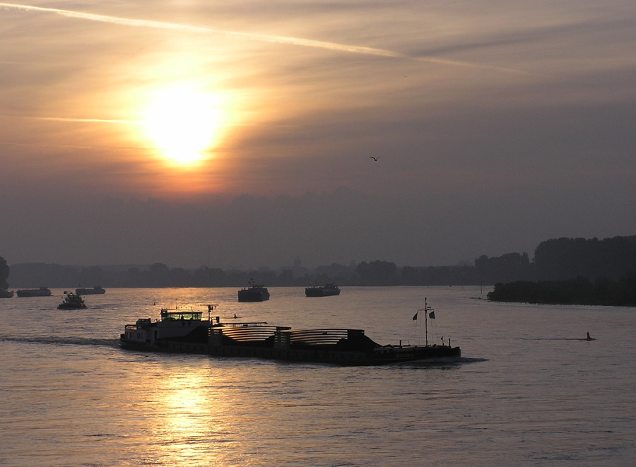 Der Rhein erwacht.