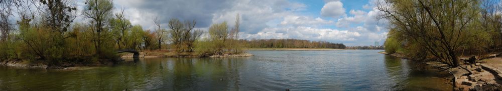 Der Rhein