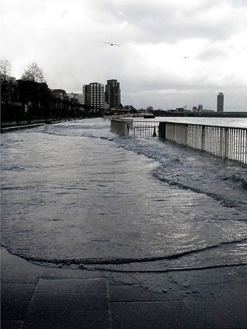 Der Rhein geht spazieren 4