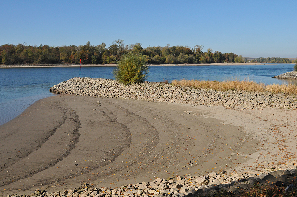 Der Rhein: Gerade bei Niedrigwasser interessant 01