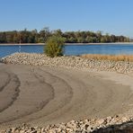 Der Rhein: Gerade bei Niedrigwasser interessant 01