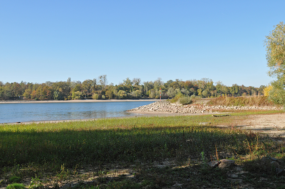 Der Rhein: Gerade bei Niedrigwasser interessant 02