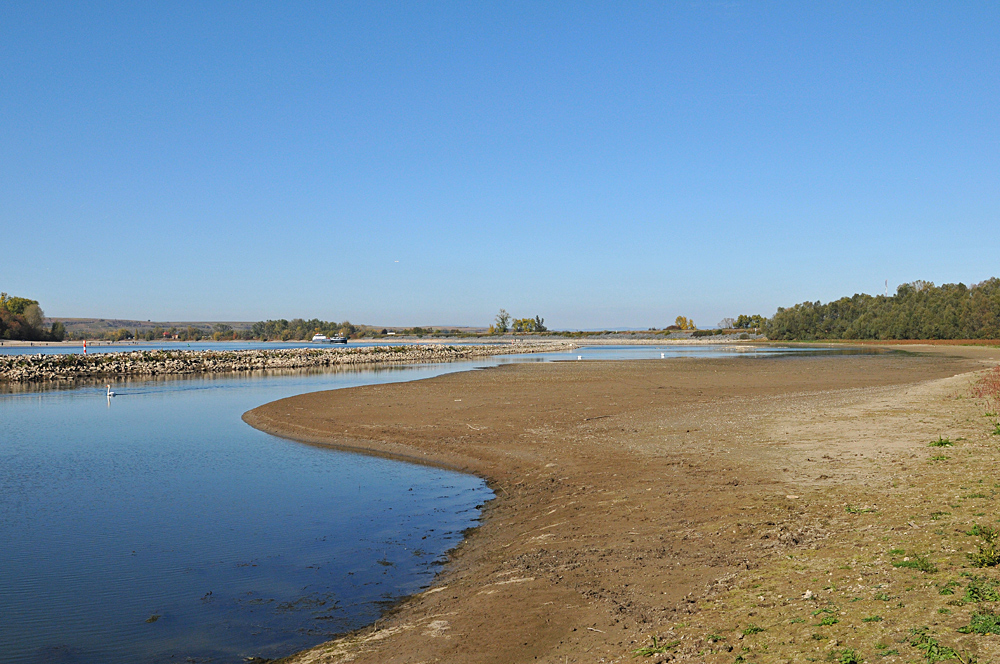 Der Rhein: Gerade bei Niedrigwasser interessant 05