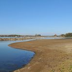 Der Rhein: Gerade bei Niedrigwasser interessant 05