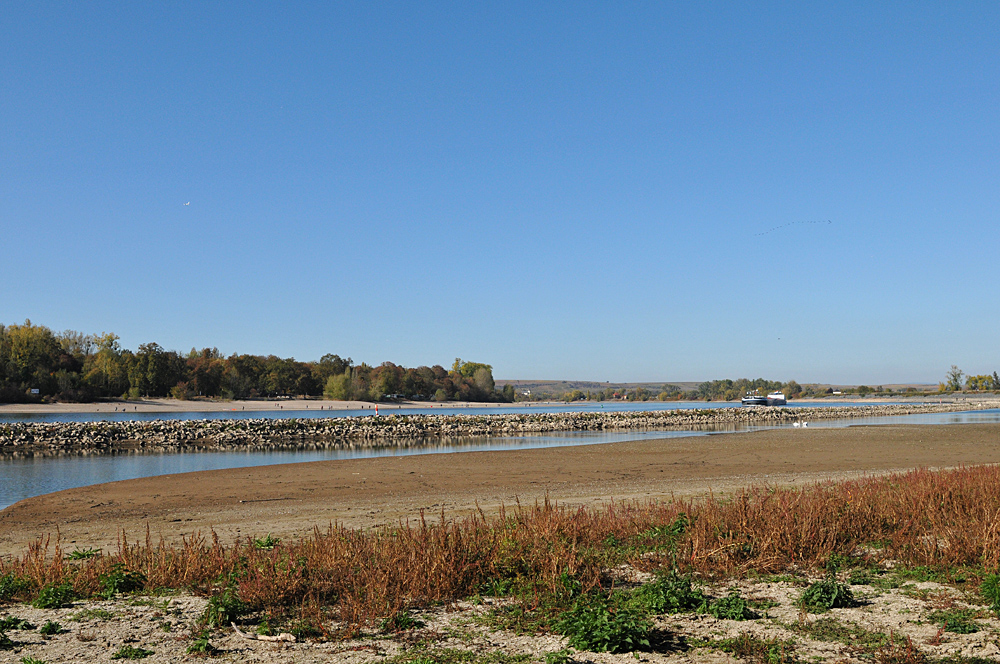 Der Rhein: Gerade bei Niedrigwasser interessant 06