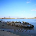 Der Rhein gibt seine Schätze frei