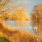 Der Rhein glüht an Weihnachten 