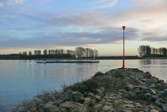 Der Rhein hat wieder an Wasser zugelegt